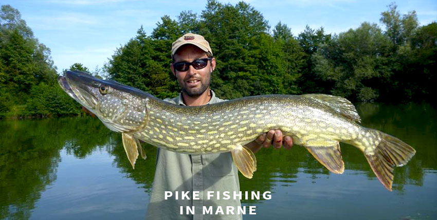 Pike fishing in Marne